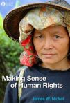 MAKING SENSE OF HUMAN RIGHTS